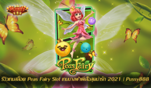 แจกสูตรปั่นสล็อต ทำกำไรได้จริง สำหรับมือใหม่หัดเล่น pussy888 12