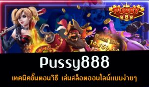 pussy888