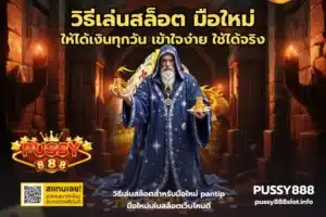 วิธีเล่นสล็อต มือใหม่-PUSSY888